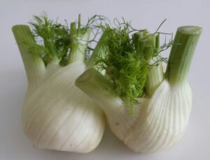 Drøm om fennikel