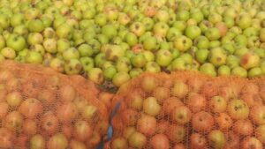 drøm om frukt
