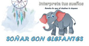 drømmer om elefanter