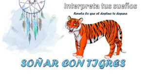 drøm om tigre