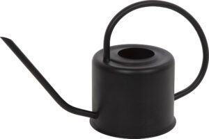 drøm med vannkanne