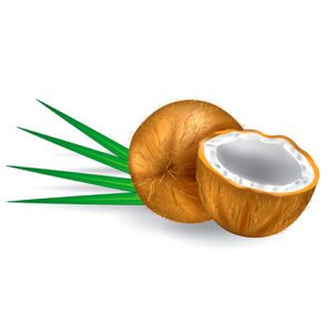 drømmer om kokosnøtter