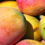 drommer-om-mango