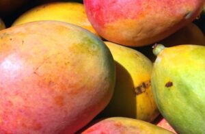 drømmer om mango