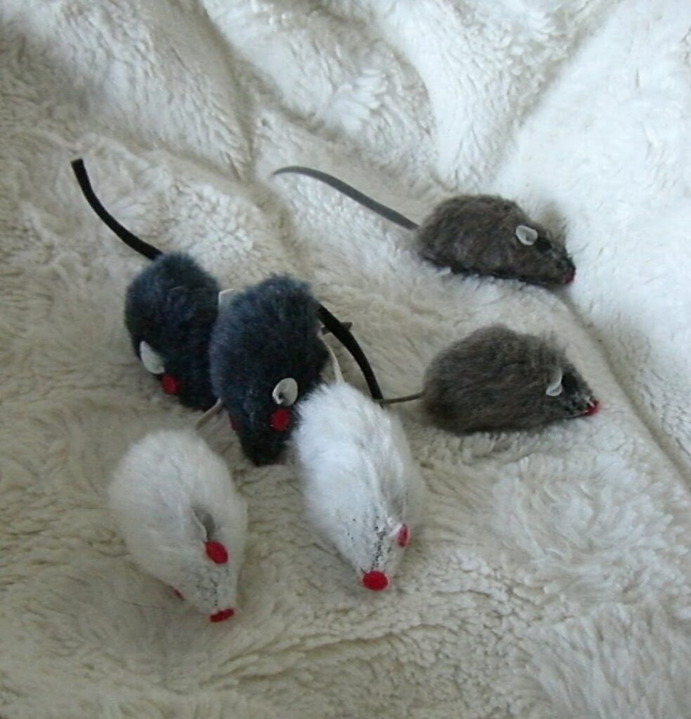 Drøm om rotter og mus